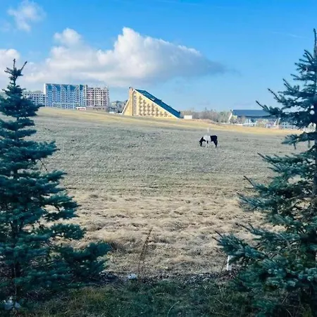 Lux Aleksandar Apartman Zlatibor