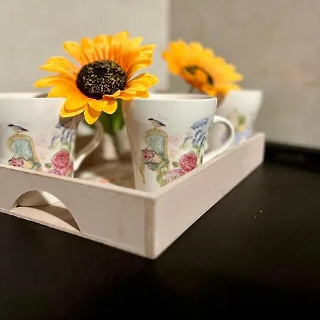 Apartman Lux Aleksandar