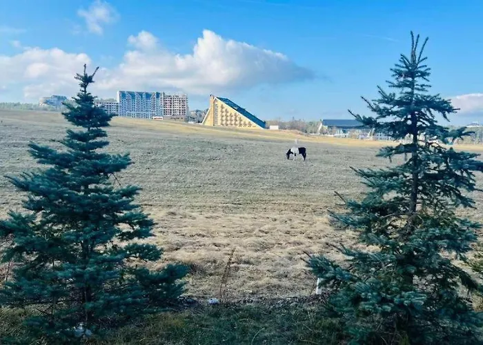 Lux Aleksandar Appartement Zlatibor